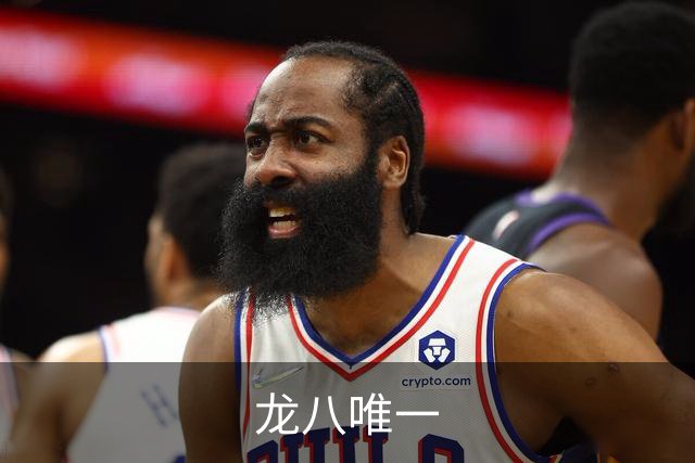 龙八唯一公司介绍图片